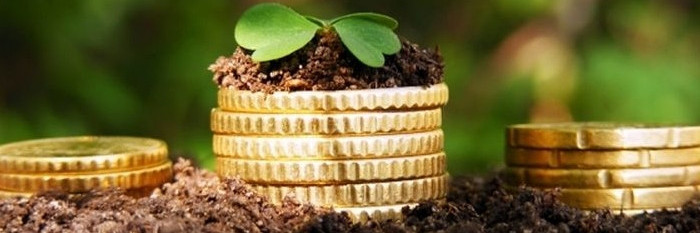 privatizatsiia-zemli