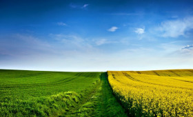 denezhnaia-otsenka-stoimosti-zemelnogo-uchastka