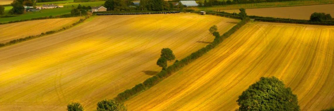 Земельна суперечка1606211656