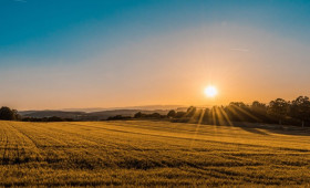 Как делается проект на целевое назначение земли1630391906